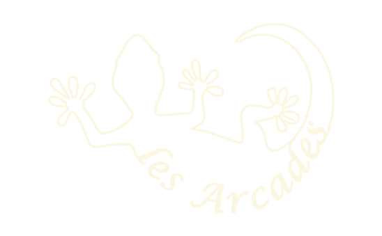 Brasserie Les Arcades - restaurant SISTERON